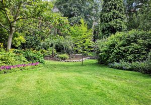 Optimiser l'expérience du jardin à Ozoir-le-Breuil